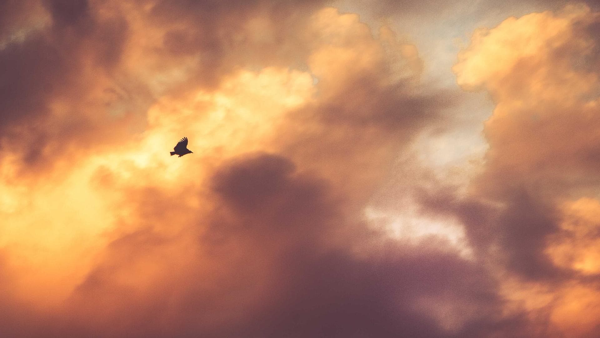 Hero Background